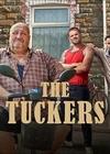 ������ (1 �����: 1-6 ����� �� 6) / The Tuckers  / 2020  (1-DVD-Mpeg4)